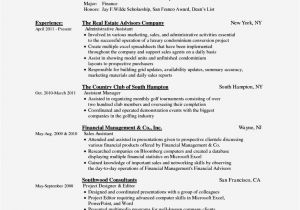 Fillable Resume Template Fill In Blank Resume Free Resume Template Cover Letter