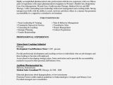 Fillable Resume Template Fill In the Blank Resume Templates Resume Template