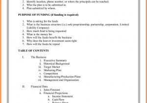 Film Production Company Business Plan Template 9 Film Production Company Business Plan Template