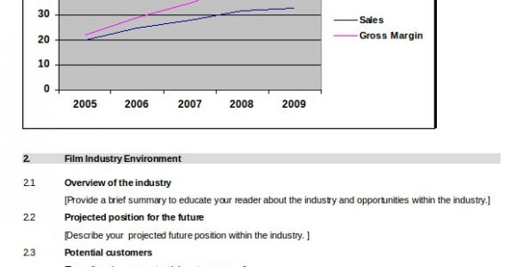 Film Production Company Business Plan Template 9 Sample Film Business Plans Sample Templates