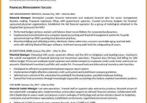 Finance Manager Resume Template 10 Finance Resume Examples Financial Statement form