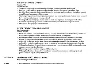 Financial Analyst Resume Sample Financial Analyst Resume Ipasphoto