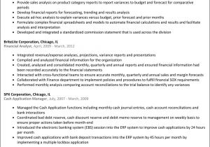 Financial Analyst Resume Sample Financial Analyst Resume Sample Ipasphoto