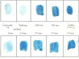 Fingerprint Paper Template forensics November 2011