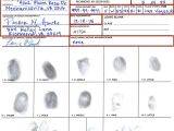 Fingerprint Paper Template Vbbe Miscellaneous forms
