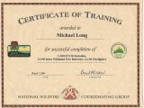 Fire Training Certificate Template Mike Long Cf Ms