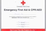 First Aid Certificate Template Free 4 Best Images Of Free Printable First Aid Certificate