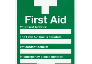 First Aid Poster Template Sign First Aid A4 the British Horse society