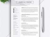 First Job Interview Resume Make A Strong First Impression and Get A Job Interview