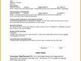 First Resume Template 9 First Resume No Experience Financial Statement form