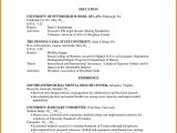 First Year College Student Resume 6 1st Year College Student Resume Professional Resume List