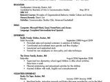 First Year College Student Resume College Student Resume 8 Free Word Pdf Documents