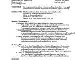 First Year College Student Resume Sample Resume by A First Year Student Free Download