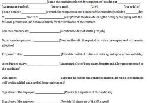 Fit Out Contract Template Printable Sample Employment Contract Sample form Laywers