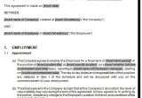 Fixed Term Contract Of Employment Template Employment Contract Fixed Term Agreement