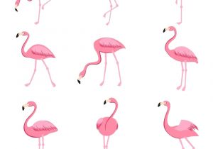 Flamingo Beak Template Flamingo Beak Template