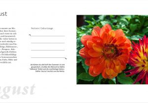 Flower Card Holder Stick Michaels 365 Garten Buch Von Gisela Keil Versandkostenfrei Bestellen