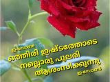 Flower Card Messages for Crush Idea by Eron On Good Morning Malayalam Good Morning Wishes