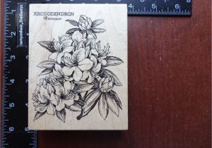 Flower Rubber Stamps Card Making Pin On Kytky