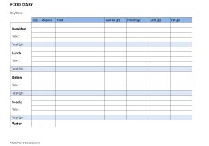 Food Diaries Templates 7 Best Images Of Printable Daily Log Sheets Templates