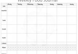 Food Logs Templates 5 Free Food Journal Templates Excel Pdf formats