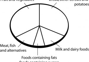 Food Wheel Template Eatwell Plate Template Blank Pictures to Pin On Pinterest