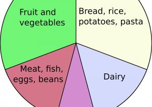 Food Wheel Template File Eatwell Plate Png Wikimedia Commons