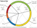 Food Wheel Template Teacher 39 S Pet Food Groups Drawing Premium Printable