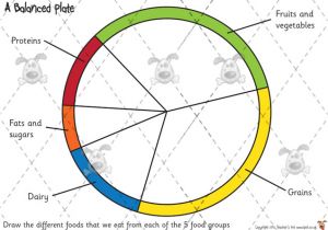 Food Wheel Template Teacher 39 S Pet Food Groups Drawing Premium Printable