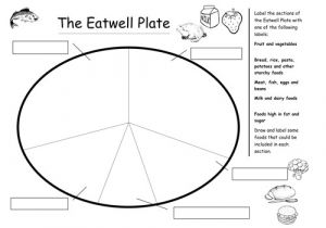 Food Wheel Template the Eatwell Plate by Plesters Teaching Resources Tes