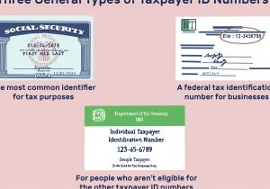 Form for social Security Card Name Change Difference Between A Tax Id Employer Id and Itin