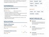 Format Of A Good Resume for Job Examples Of Resumes by Enhancv