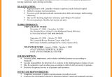 Format Of Job Application Resume 8 Cv Sample for Job Application theorynpractice