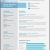 Formato Para Hacer Un Resume Profesional formato De Cv Para Marketing Profesional Pinterest