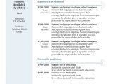 Formato Para Hacer Un Resume Profesional Plantillas Curriculum Vitae En Espanol Google Search