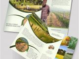 Free Agriculture Flyer Templates 16 Agriculture Templates Designs Free Psd Ai Cdr