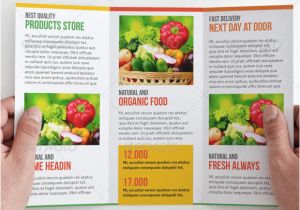 Free Agriculture Flyer Templates 8 Wonderful Agriculture Brochure Templates for Designers
