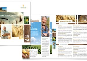 Free Agriculture Flyer Templates Farming Agriculture Brochure Template Word Publisher