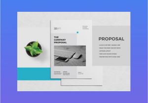 Free Branding Proposal Template 20 top Graphic Design Branding Project Proposal