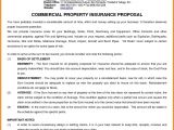 Free Commercial Insurance Proposal Template Commercial Insurance Proposal Resume Papers