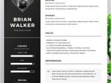 Free Cv Resume Template Word 130 New Fashion Resume Cv Templates for Free Download