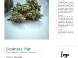 Free Dispensary Business Plan Template Dispensary Business Plan