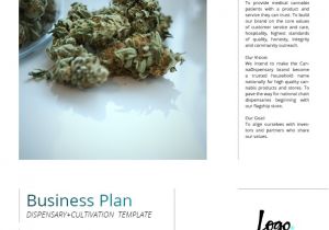 Free Dispensary Business Plan Template Dispensary Business Plan