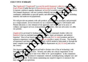 Free Dispensary Business Plan Template Free Printable Business Plan Sample form Generic