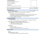 Free Download Mba Fresher Resume format Best Resume formats 40 Free Samples Examples format