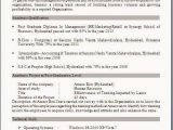 Free Download Mba Fresher Resume format Resume Templates