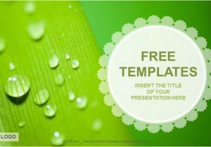 Free Download Of Powerpoint Templates with Designs Droplets Nature Ppt Templates Download Free