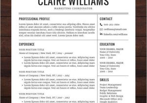 Free Downloadable Resume Template Free Downloadable Resume Templates