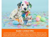 Free Easter Email Templates 50 Free Easter Email Templates for Sendblaster