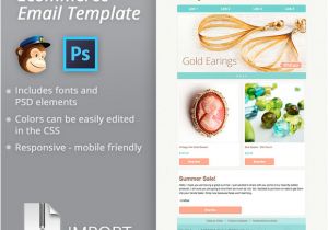 Free Ecommerce Email Templates Mailchimp Ecommerce Email Template Email Templates On